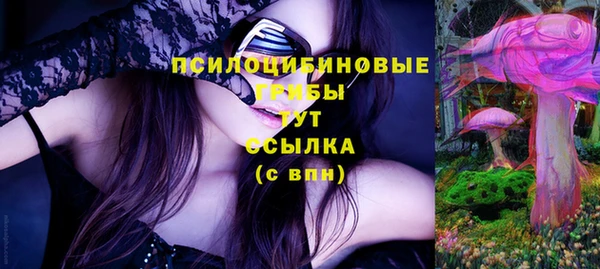 первитин Ельня
