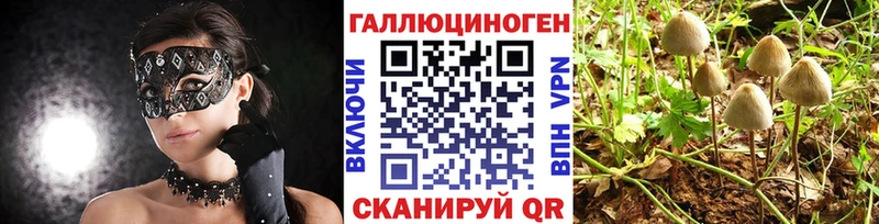Псилоцибиновые грибы Magic Shrooms  Купить закладки  Тотьма 